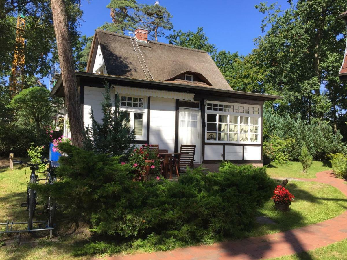 Bungalow Beachhouse 볼텐하겐 외부 사진